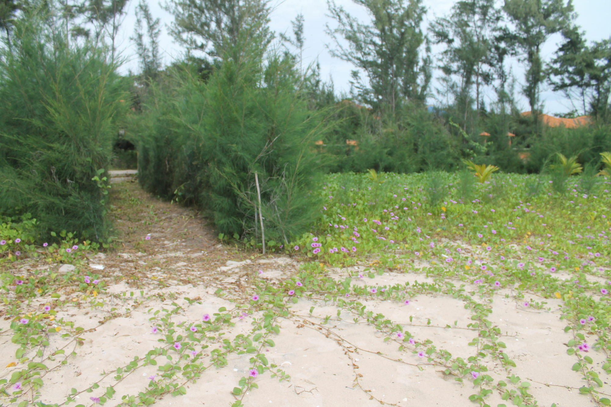 Doi Su Resort Ham Thuan Nam Zewnętrze zdjęcie